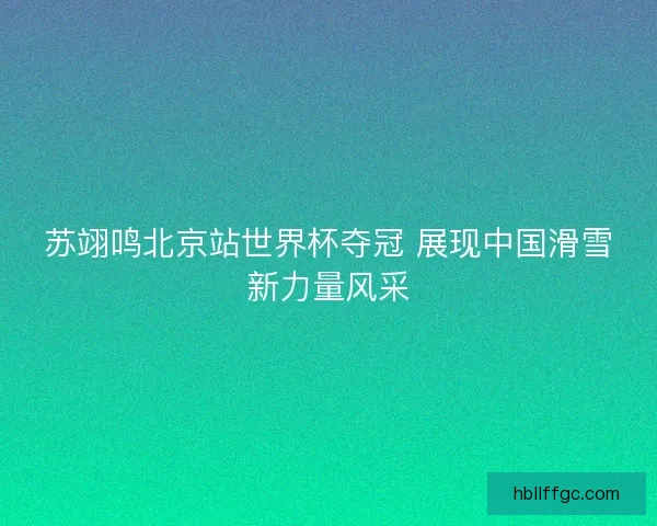 苏翊鸣北京站世界杯夺冠 展现中国滑雪新力量风采 苏翊鸣北京站世界杯夺冠 展现中国滑雪新力量风采